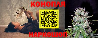 гидропоника Балахна