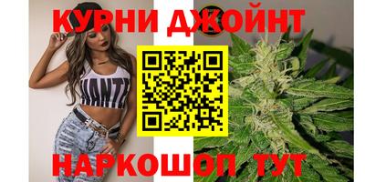 гидропоника Балахна