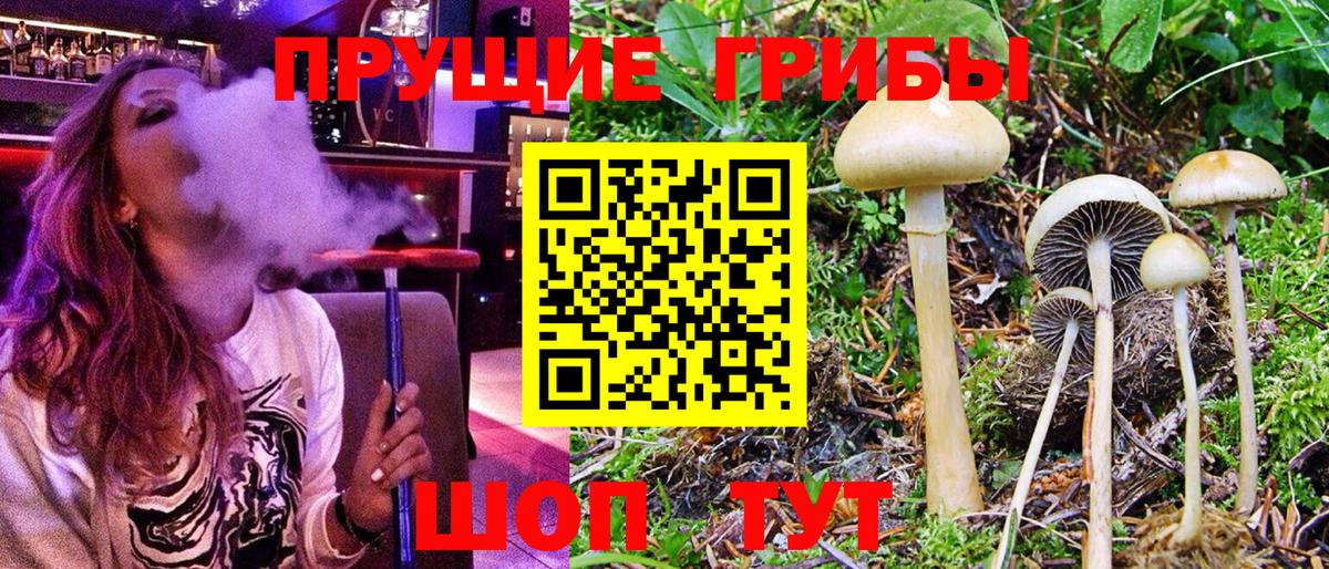 Галлюциногенные грибы мухоморы Дзержинский