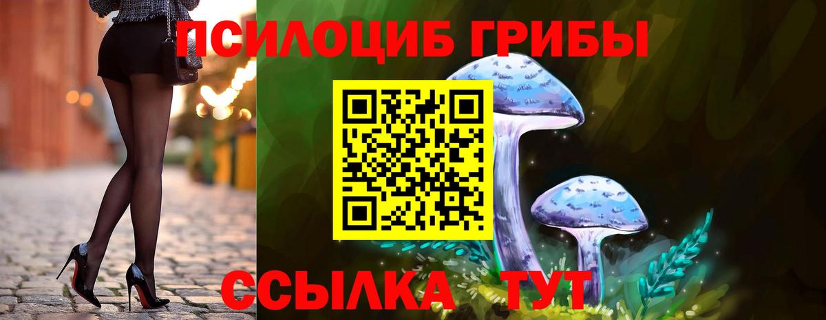 Галлюциногенные грибы Magic Shrooms  Вход с VPN  где можно купить наркотик  Дзержинский 